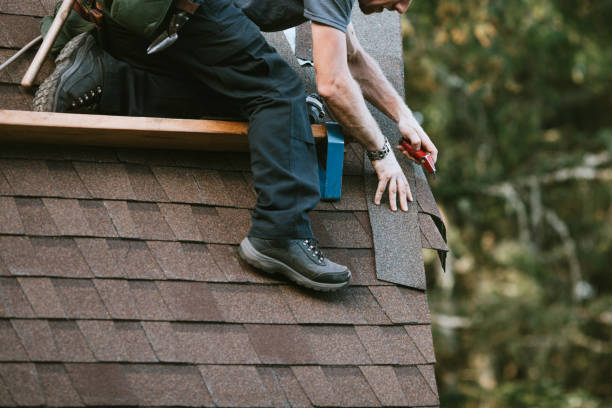 Best Roof Gutter Cleaning  in Duncannon, PA